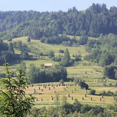 Michalowka 2 * شتافنيتسه